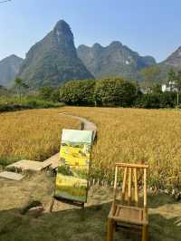 風吹麥浪 小紅書跟風最成功的一次好chill