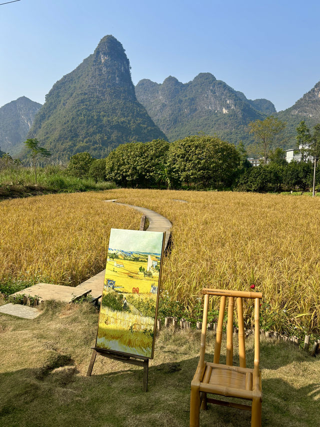 風吹麥浪 小紅書跟風最成功的一次好chill 風吹麥浪 小紅書跟風最成功的一次好chill