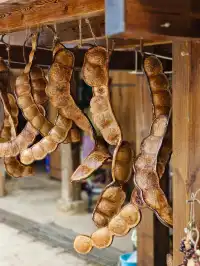 景邁山放空的48小時