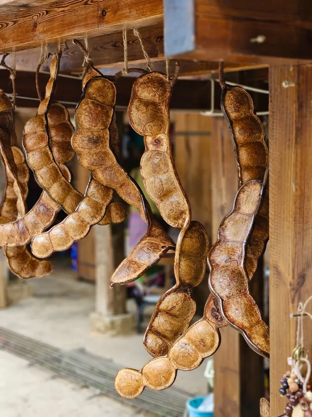 景邁山放空的48小時 景邁山放空的48小時