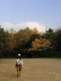 上海植物園紅葉撿秋墜美機位