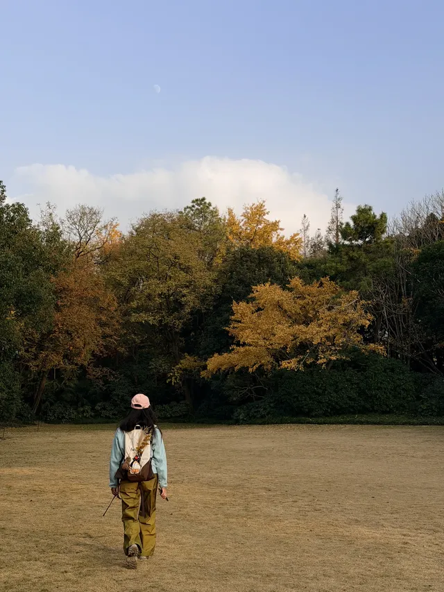 上海植物園紅葉撿秋墜美機位