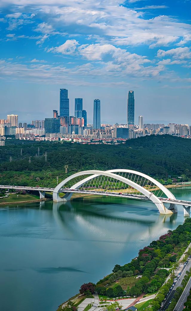 綠城南寧的晴天絕了 綠城南寧的晴天絕了