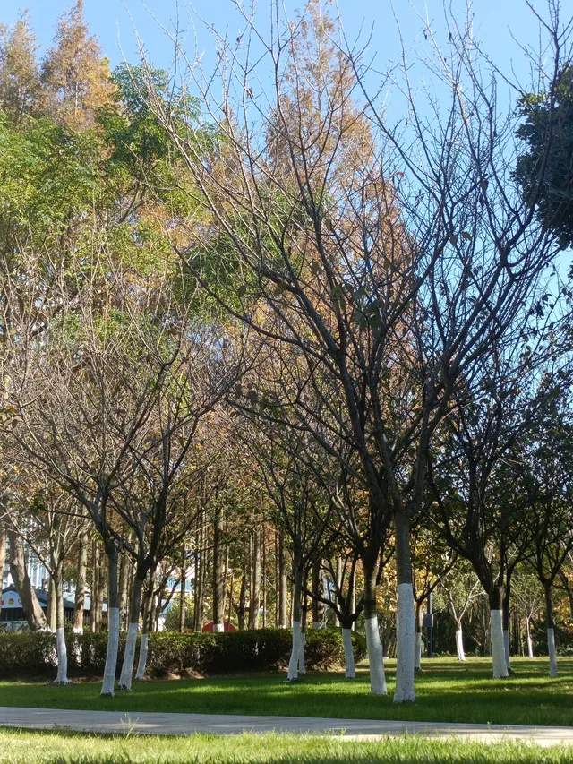 真心建議:週末帶娃,解鎖輕量化自然教育 真心建議:週末帶娃,解鎖輕量化自然教育