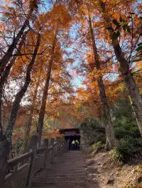 週末出遊|安徽齊雲山