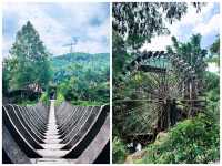 比昆明宜居,比大理清靜!這才是雲南最美慢城養老度假首選