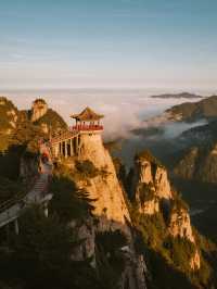 漢中冬季親子遊|追海鷗+無痛爬山兩日遊攻略