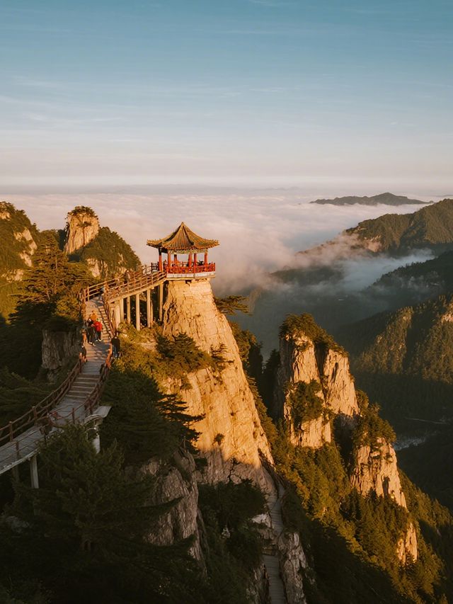 漢中冬季親子遊|追海鷗+無痛爬山兩日遊攻略 漢中冬季親子遊|追海鷗+無痛爬山兩日遊攻略