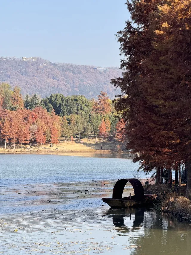 鐘山風景區精華指南含無人版梧桐大道 鐘山風景區精華指南含無人版梧桐大道