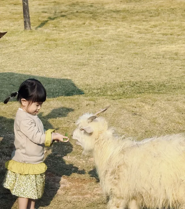 深圳寶藏親子牧場餵鹿撸兔遛娃絕了! 深圳寶藏親子牧場餵鹿撸兔遛娃絕了!