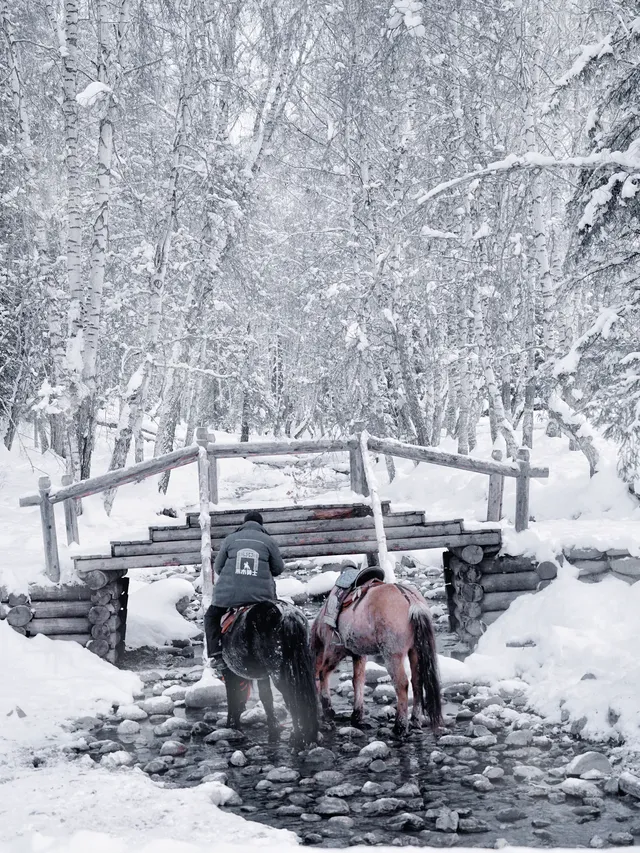 阿達西,今年的禾木我來看了 阿達西,今年的禾木我來看了