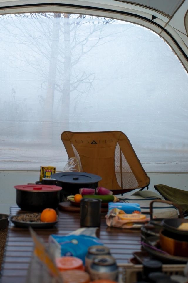 【上海1h直達·湖邊水杉秘境露營地】 【上海1h直達·湖邊水杉秘境露營地】