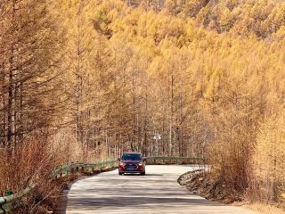 モア公路ドライブ｜北国の秋の油絵の世界へ突入