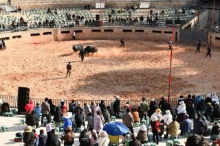 Wudu Shehuo Spring Festival Celebration