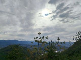 天水甘谷古坡草原を解き放つ | 14万畝の仙境で写真撮影、乗馬、キャンプが一度に楽しめる