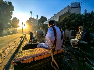 エドフ神殿ガイド：馬車で人混みを抜け、鷹の神ホルスの千年の神殿を探訪