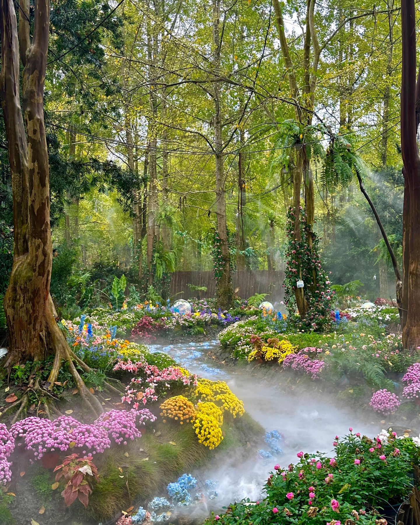 Chengdu's version of Alice in Wonderland🌿 Step into a real-life fairy tale forest

Who would have thought! Discovered a hidden dream garden in the forest of Chengdu✨
It feels like a world straight out of a fairy tale book, every frame is stunningly beautiful!

🌫️ Misty forest path filled with fairy aura
The stream in the woods is shrouded in mist, like a gentle filter overlay
Both sides are covered with colorful fresh flowers💐 yellow chrysanthemums, pink roses, blue hydrangeas
There are also tree trunks covered with climbing roses and giant rabbit decorations, every shot looks like a forest-themed masterpiece
Sunlight filters through the leaves, casting dappled shadows, creating an immersive atmosphere!

🍵 Healing time with tea by the fire
When tired from walking, sit by the wooden table next to the stream for a tea session by the fire
Roasting soft sweet potatoes and sweet corn, snacking on sunflower seeds while sipping hot tea
Watching the flowing stream, falling maple leaves, even the wind feels gentle
In the evening, lanterns light up, their warm yellow glow reflecting on the water, creating a magical atmosphere!

📸 Recommended photo spots

1. Mid-section of the misty stream: Stand on the walkway for a panoramic shot with mist + flowers + forest, 100% chance of great photos

2. Tea seat by the stream: Use lanterns and stream as the background to capture the healing vibe of tea by the fire

3. Next to the rabbit decoration: Pose with the fairy tale-like rabbit to instantly become Alice

4. Lantern area at dusk: Warm light + maple leaves + stream, perfect for night shots!

💡 Tips for visiting
✅ Recommended to wear light-colored or fairy-like dresses, perfect for the forest scene
✅ The misty forest area can be slippery, wear comfortable shoes for convenience
✅ The best light is between 3-4 PM, and the lanterns at dusk are also beautiful for photos
✅ Bring props like straw hats and flower baskets for an even more fairy tale feel

Friends in Chengdu, quickly invite your besties here
Escape the city's hustle and bustle and step into this real-life fairy tale dream🌷