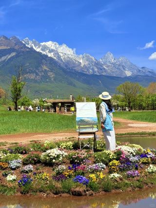 Yunnan 4 Days 3 Nights Flower Viewing Guide: My Spring Flower Viewing Plan
