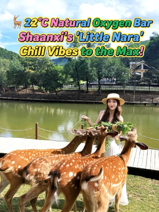 22℃ 천연 산소 바, 산시 샤오나이랑 느긋함 가득