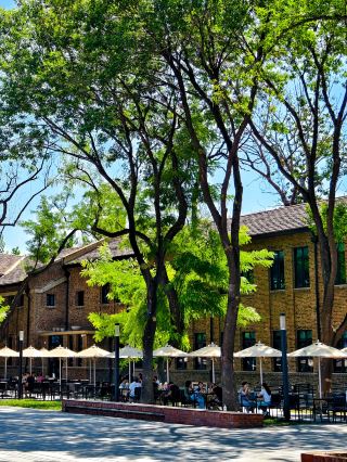 70年の老舗工場のアートな雰囲気～津一Park園区散歩01