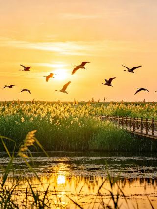 2-Day 1-Night Travel Guide to an Underrated Hidden Gem City