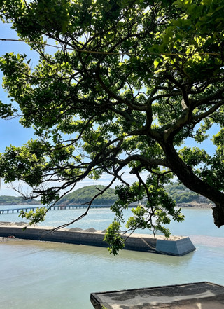 Baisha Island, Zhoushan | Hidden in a blue-and-white wonderland, it's so healing to just lie back and watch the sea.