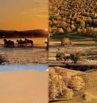 Autumn in Ulan Butong: A golden wilderness that looks like an oil painting in the North!