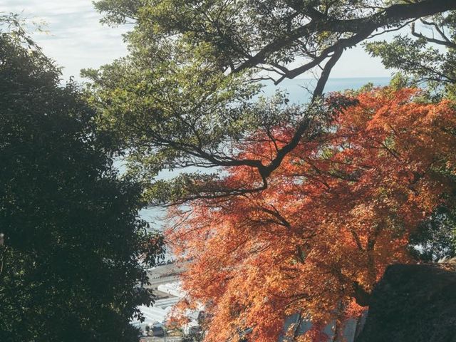 駿河湾が見渡せる日本平ロープウェイ