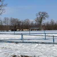 【北海道】冬季限定！十勝牧場の馬追