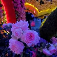 香港花卉展覽2023 - 夜