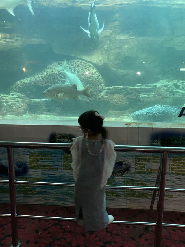 Pocket Friendly visit at Aquarium Batu Maung
