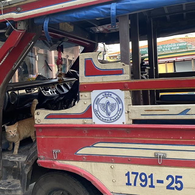 ระนอง เมืองรองที่ไม่ควรพลาด