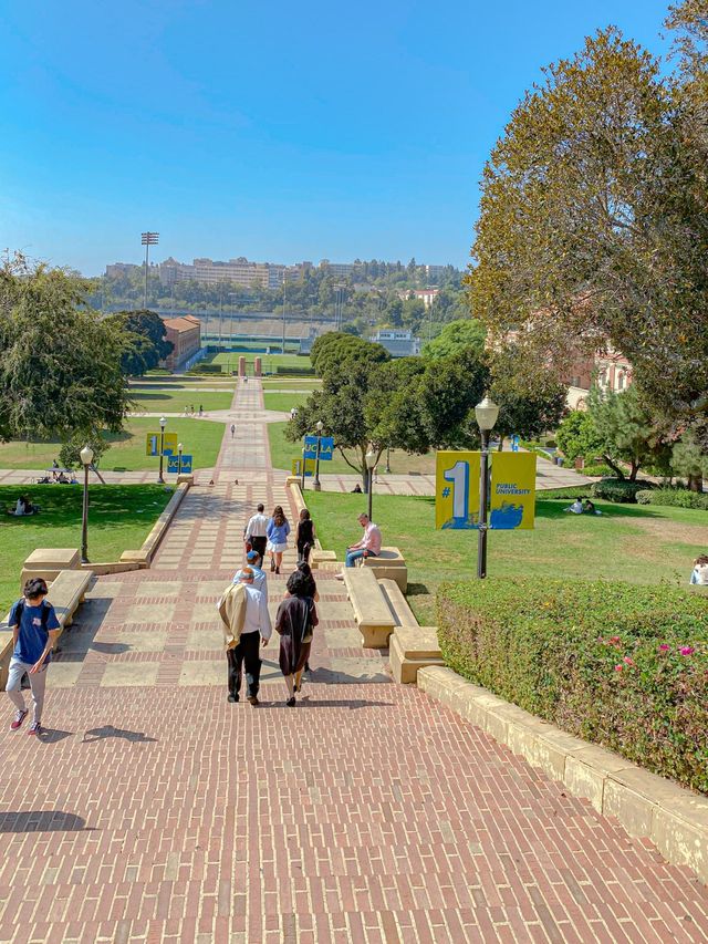 UCLA 캠퍼스 구경하기🏫🎓