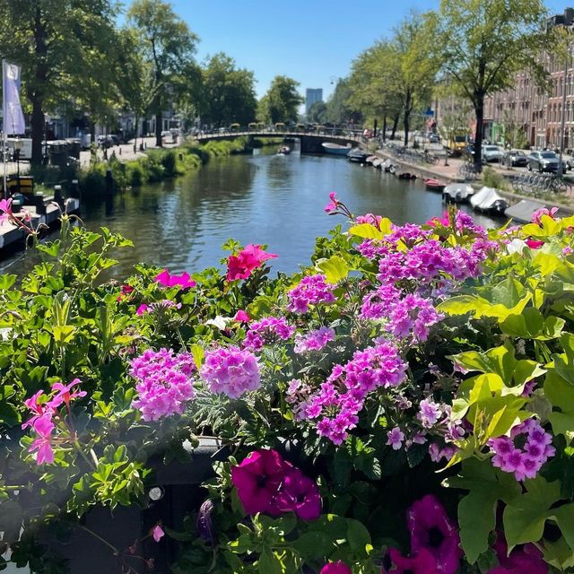 Amsterdam Postcard 🇳🇱