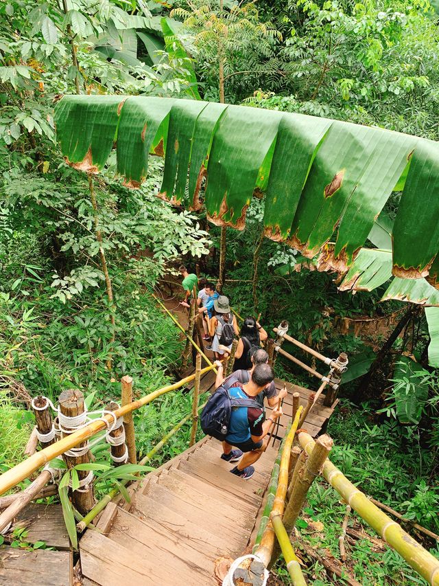 Doi Inthanon / ดอยอินทนนท์ 