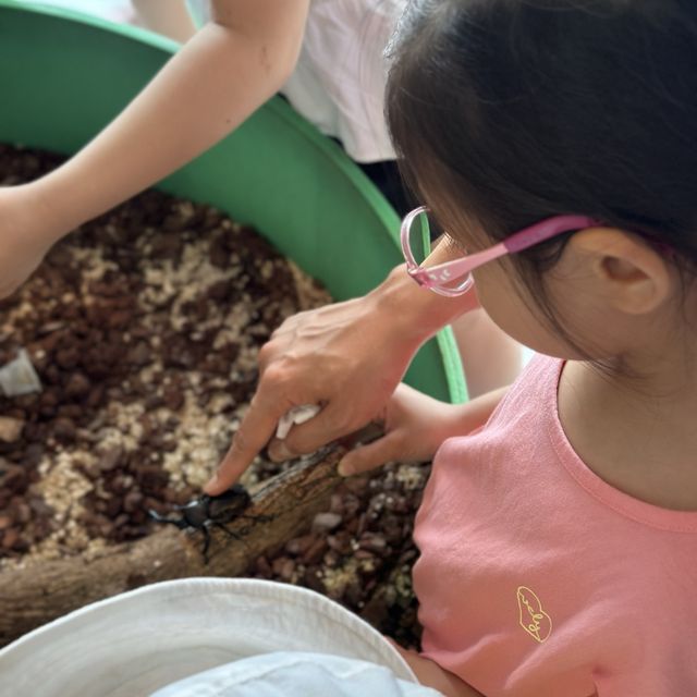 아이들과 영암 당일여행 힐링 명소 즐기기 : 영암 곤충박물관