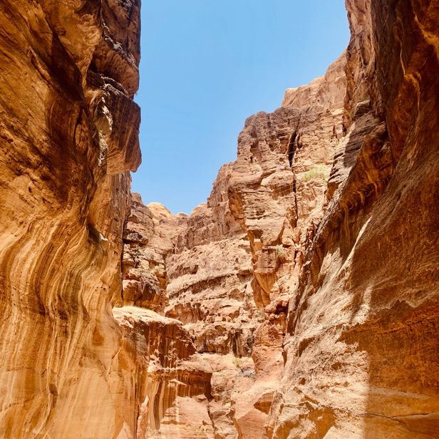 🤩❤️ ENCHANTING Journey via Al Siq 