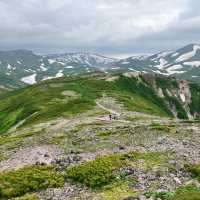 《北海道黑岳：夏季登山夢幻之地》