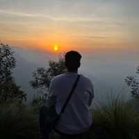 Sunrise at world's highest tea plantation 🌅