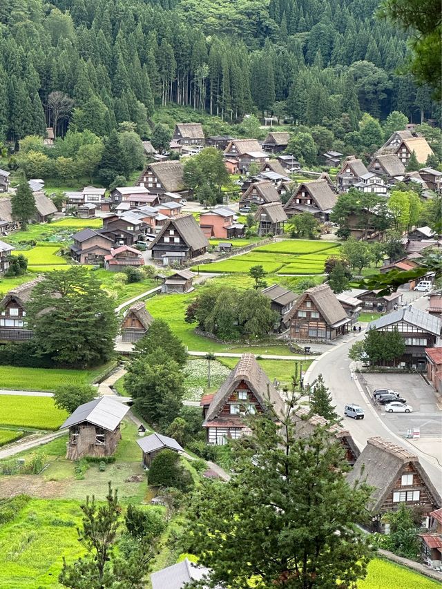 白川鄉 ｜荻町城跡展望台眺望合掌村📸
