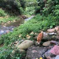 老坑溪浣衣池