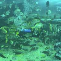 海洋奇蹟解密！屏東國立海洋生物博物館🌊🔬🐚