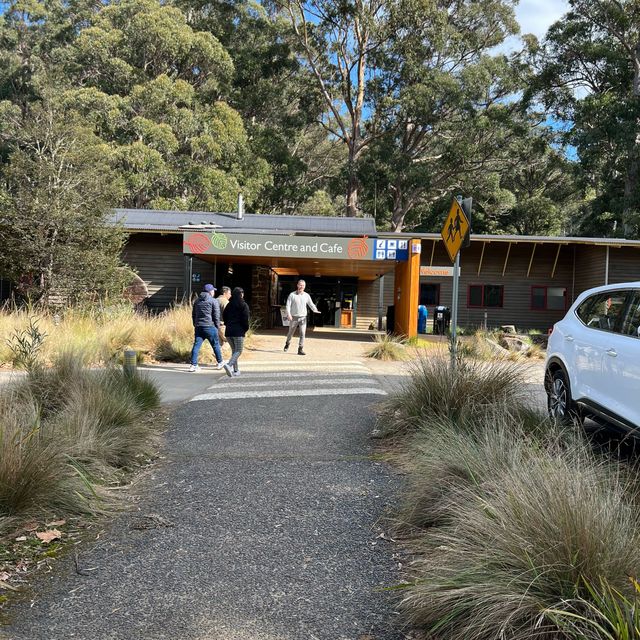 荷伯特 費爾德山國家公園探索自然生態