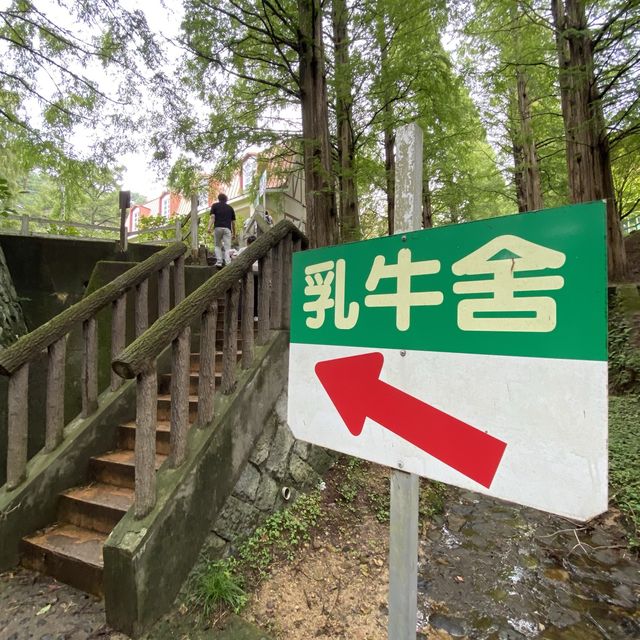 六甲山牧場【北エリア】動物が近くふれ合える癒されエリア