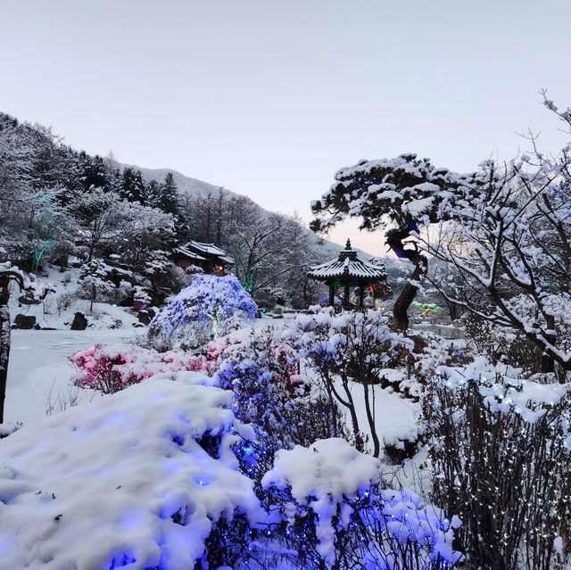 사계절이 예쁜 아침고요수목원🏞️