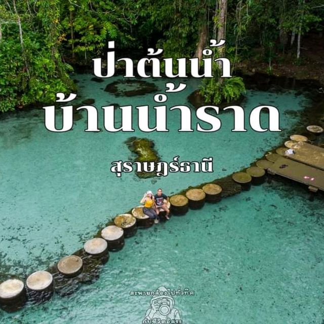 ป่าต้นน้ำบ้านน้ำราด จ.สุราษฎร์ธานี