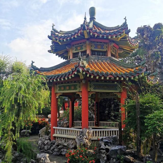 🌲👀 青松觀～綠意滿滿的寶藏！🌲👀🌳