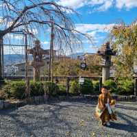 The Beautiful Kiyomizu Dera Temple 