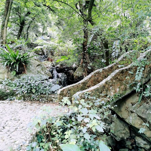 嘉道理農場
