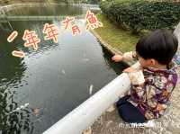【 新年行大運｜賞湖去 ｜免費景點一日遊 】